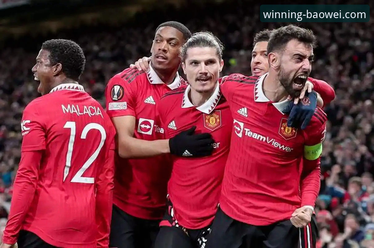 资深球迷分享：如何通过宝威体育App洞察英超争冠格局的微妙变化