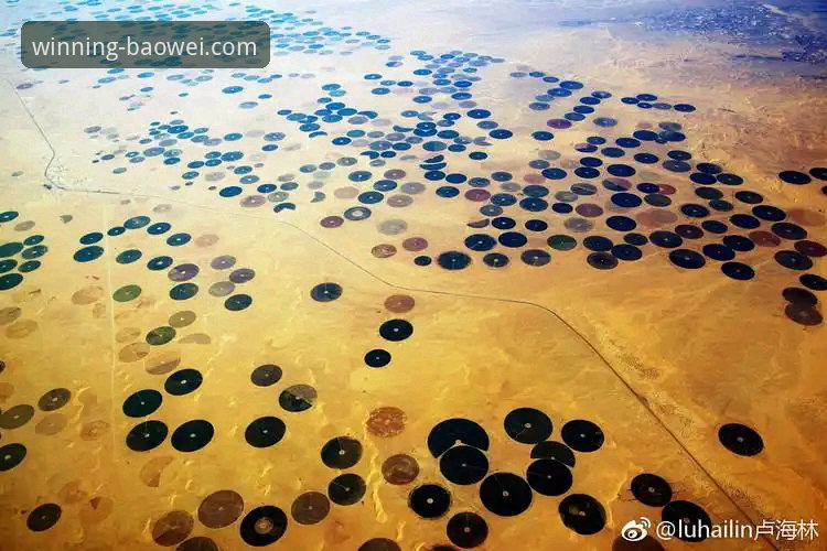 沙漠天堂的召唤 vs 中东困局：一场关于“抵达”的现代体育创新实验